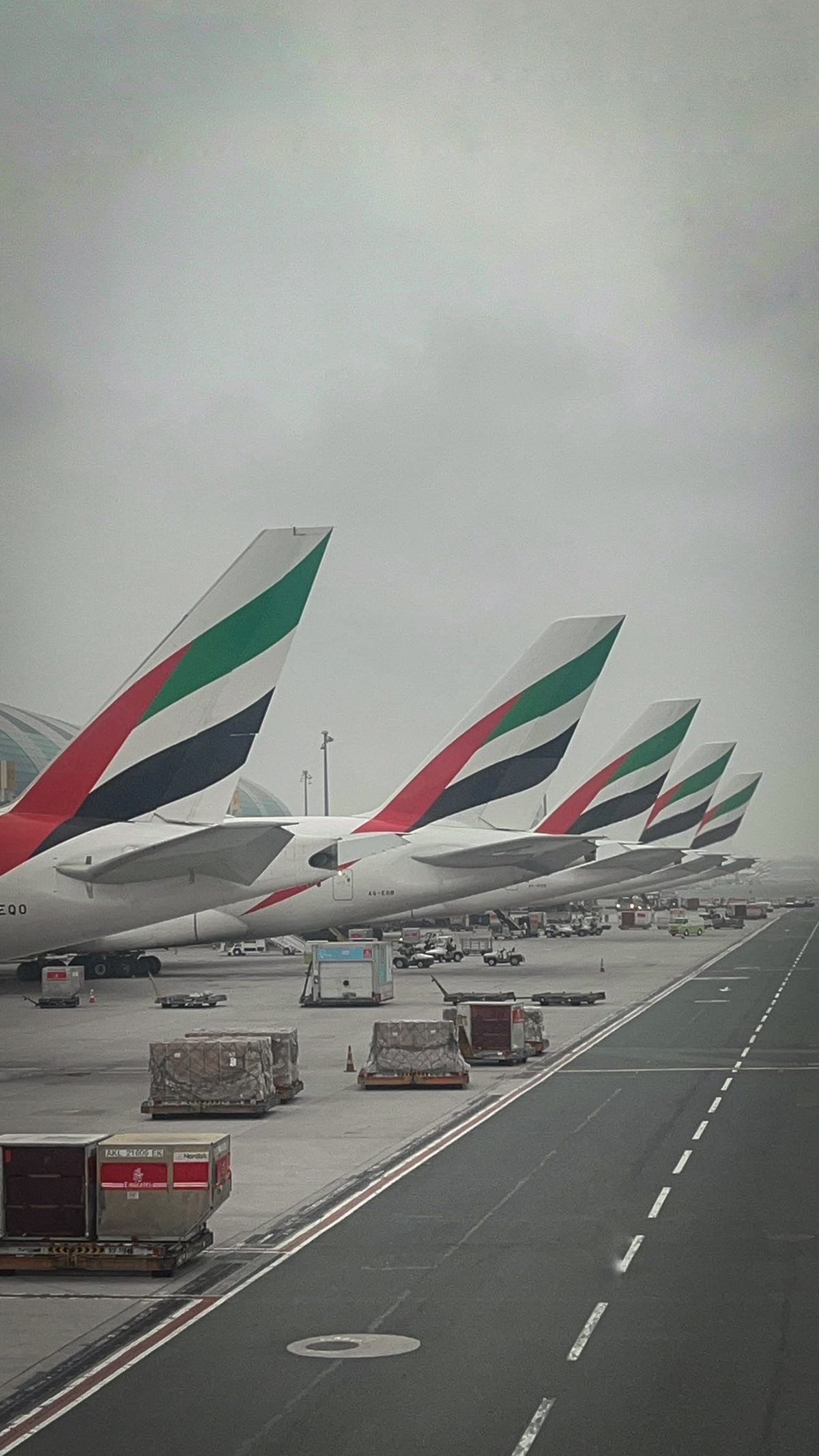 A row of Emirates aircraft tails on the stand at Dubai International, cargo pallets on the apron below