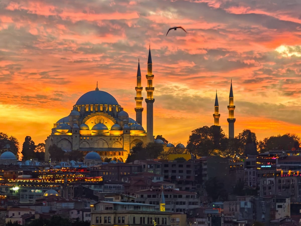 The Süleymaniye Mosque lit against a red and gold sunset over the rooftops of Istanbul, a gull crossing the sky